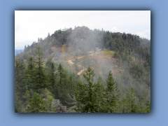 IMG_6862.jpg