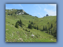 IMG_6809.jpg
